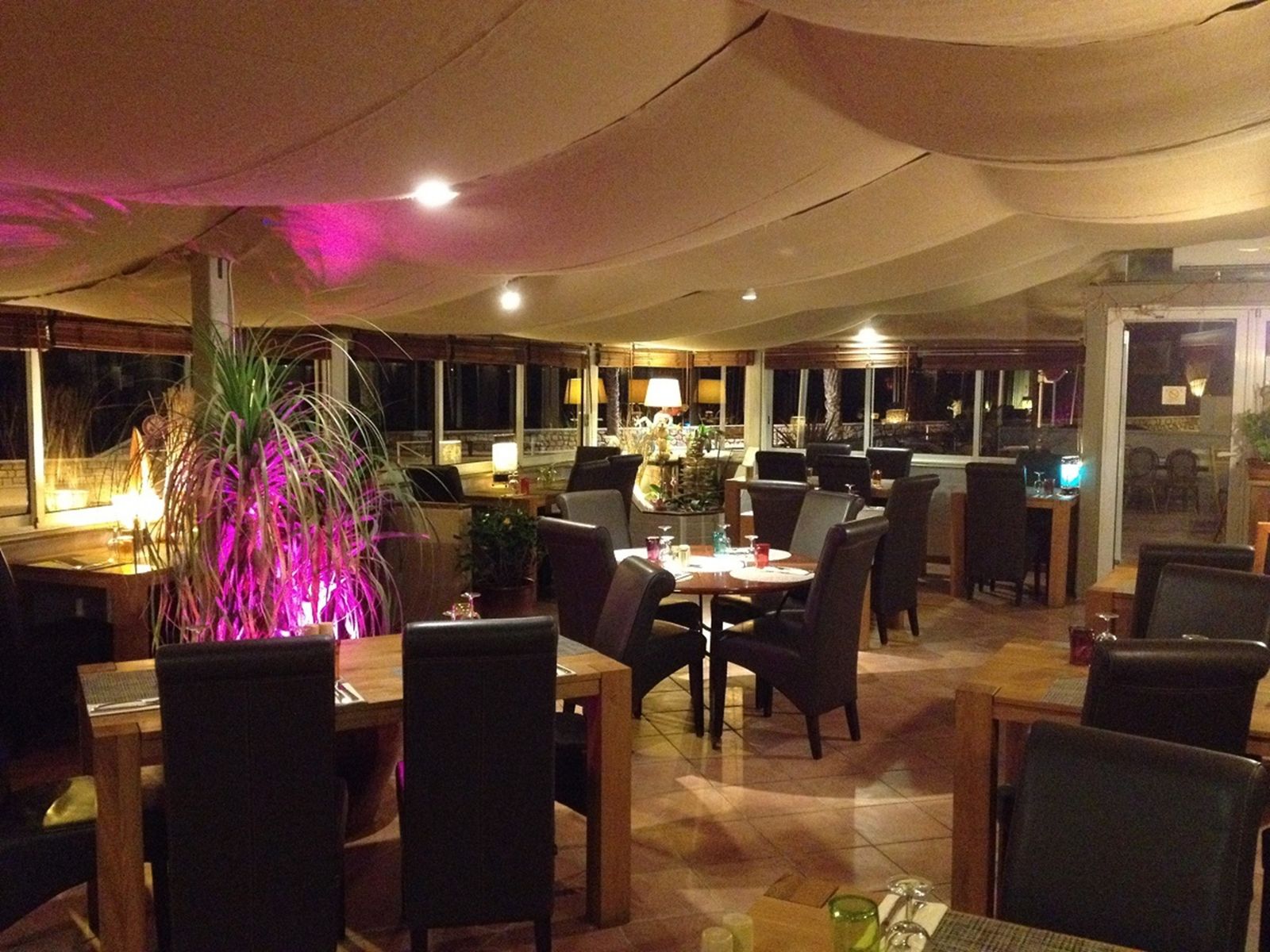 La salle le soir : plantes éclairées en rose, tables dressées, voiles tendues au plafond